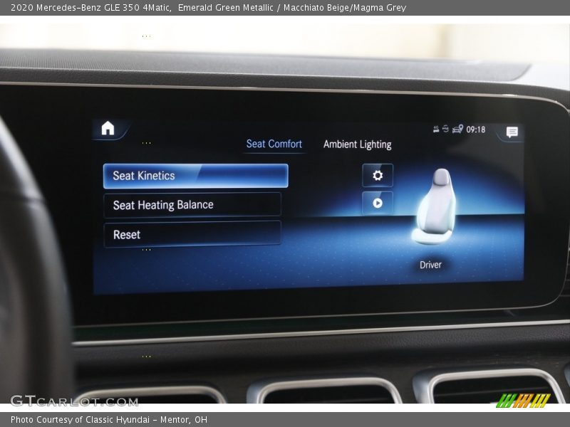 Emerald Green Metallic / Macchiato Beige/Magma Grey 2020 Mercedes-Benz GLE 350 4Matic