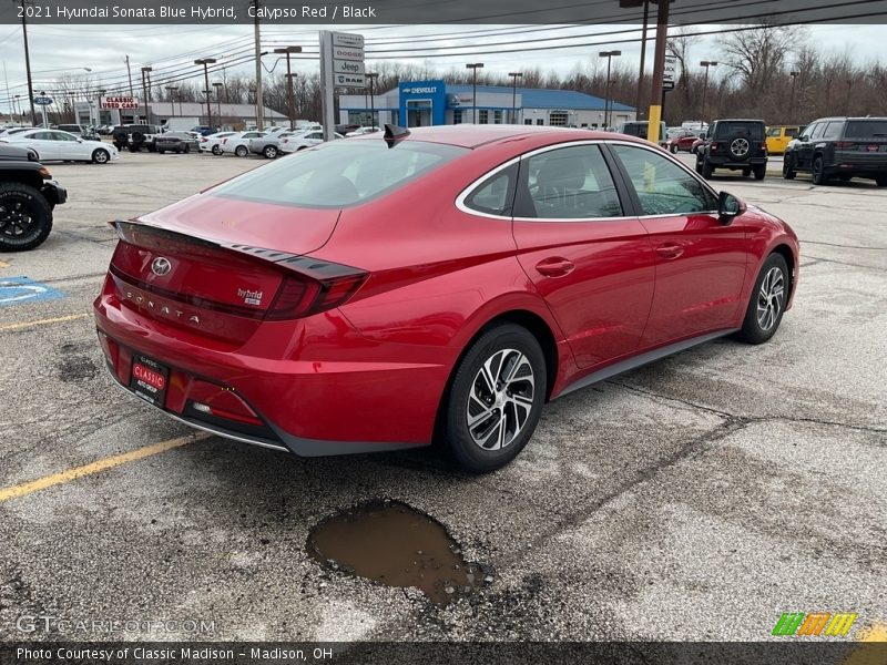 Calypso Red / Black 2021 Hyundai Sonata Blue Hybrid