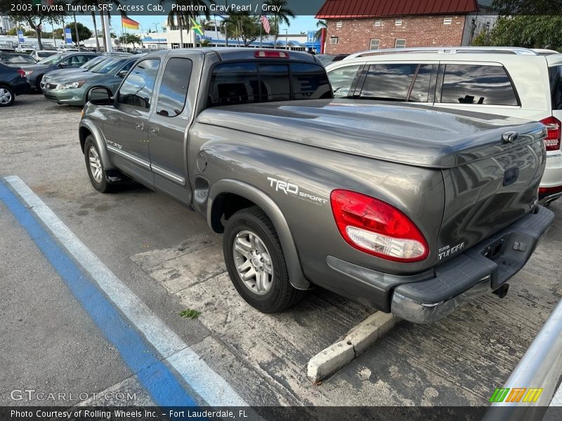 Phantom Gray Pearl / Gray 2003 Toyota Tundra SR5 Access Cab