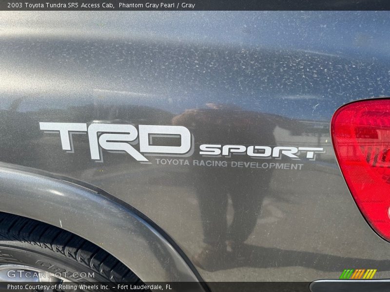 Phantom Gray Pearl / Gray 2003 Toyota Tundra SR5 Access Cab