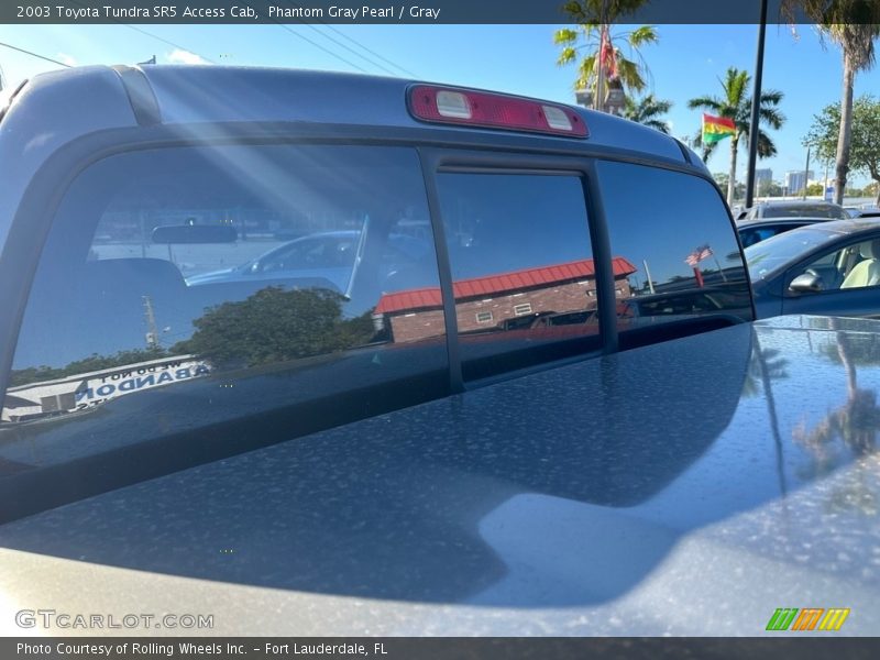 Phantom Gray Pearl / Gray 2003 Toyota Tundra SR5 Access Cab