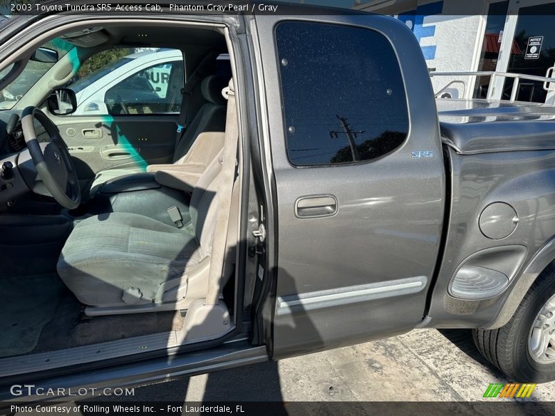 Phantom Gray Pearl / Gray 2003 Toyota Tundra SR5 Access Cab