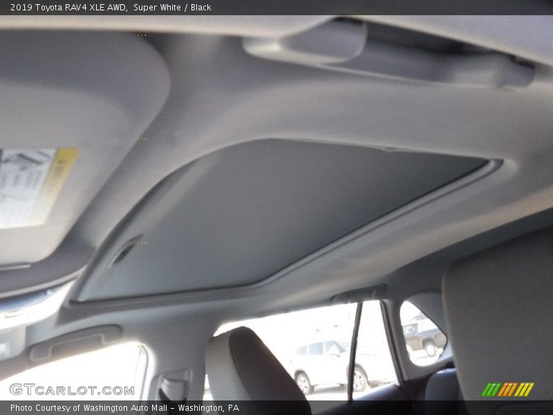 Super White / Black 2019 Toyota RAV4 XLE AWD