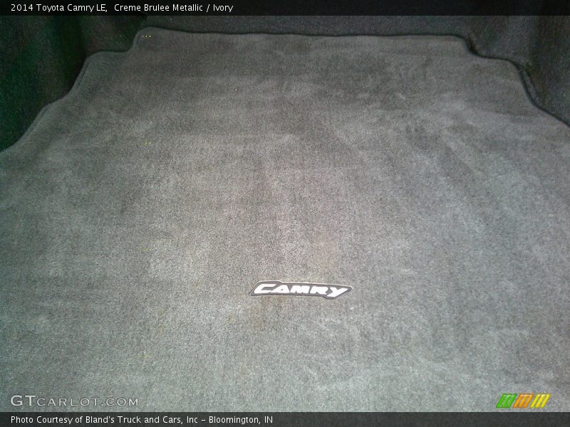Creme Brulee Metallic / Ivory 2014 Toyota Camry LE