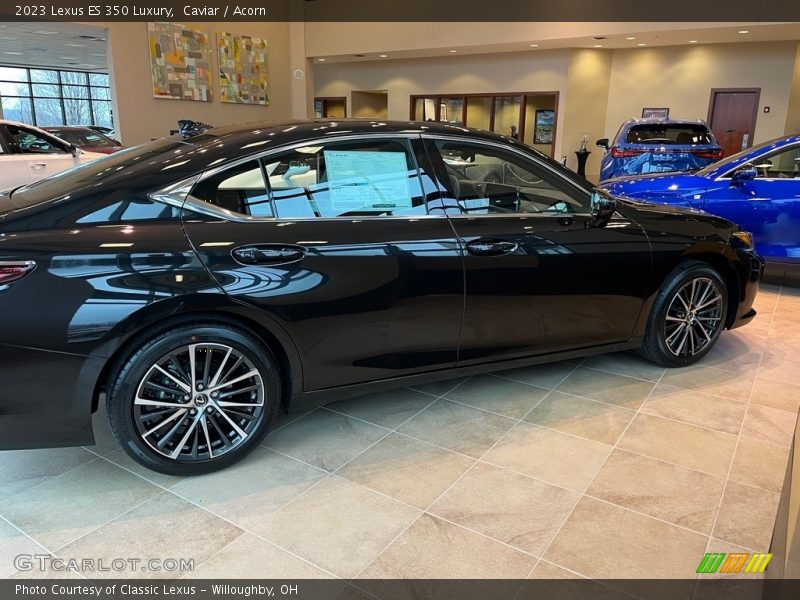 Caviar / Acorn 2023 Lexus ES 350 Luxury