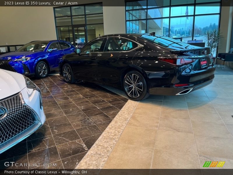Caviar / Acorn 2023 Lexus ES 350 Luxury