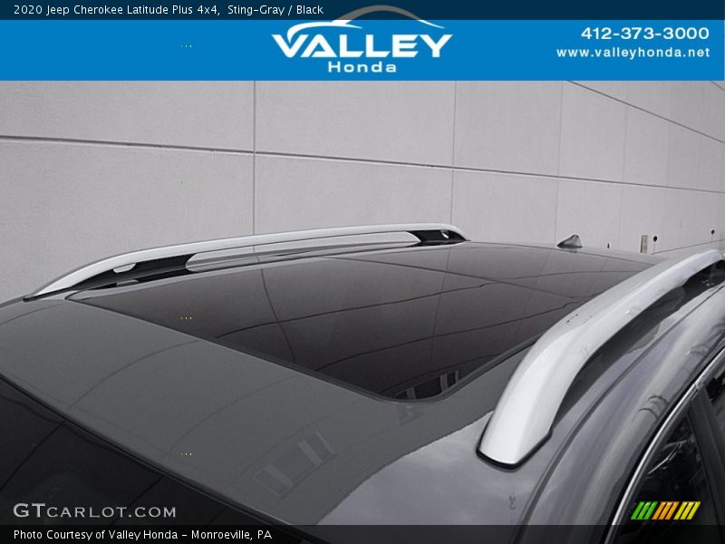 Sting-Gray / Black 2020 Jeep Cherokee Latitude Plus 4x4