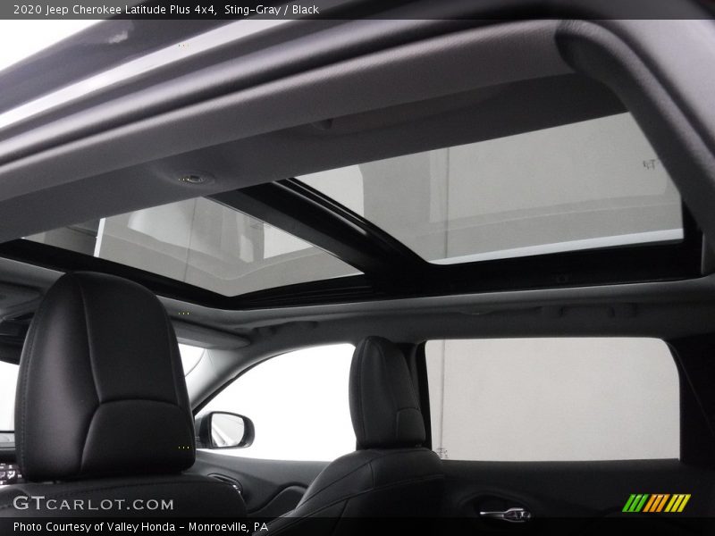 Sting-Gray / Black 2020 Jeep Cherokee Latitude Plus 4x4