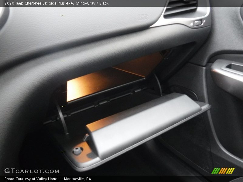 Sting-Gray / Black 2020 Jeep Cherokee Latitude Plus 4x4