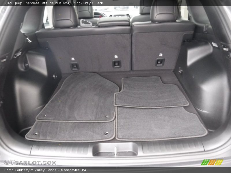 Sting-Gray / Black 2020 Jeep Cherokee Latitude Plus 4x4
