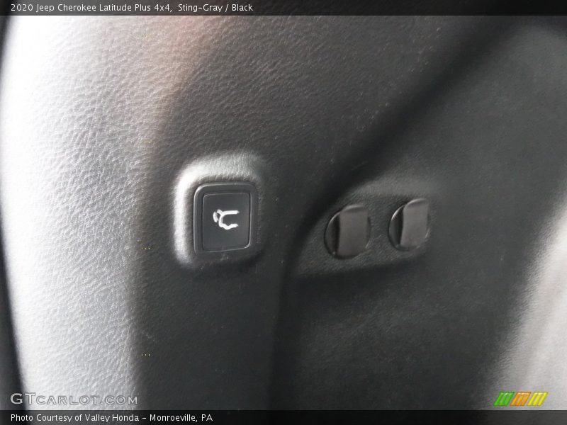 Sting-Gray / Black 2020 Jeep Cherokee Latitude Plus 4x4
