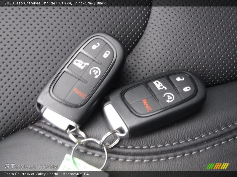 Sting-Gray / Black 2020 Jeep Cherokee Latitude Plus 4x4