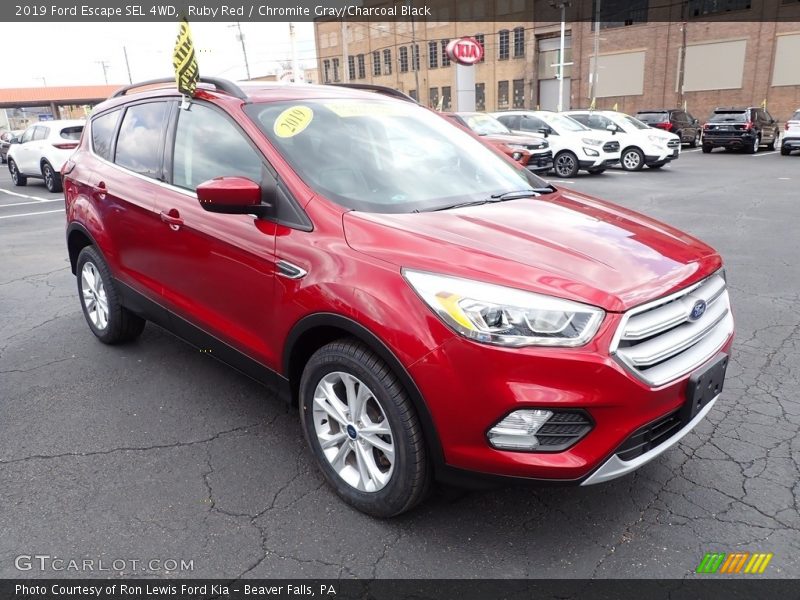 Ruby Red / Chromite Gray/Charcoal Black 2019 Ford Escape SEL 4WD
