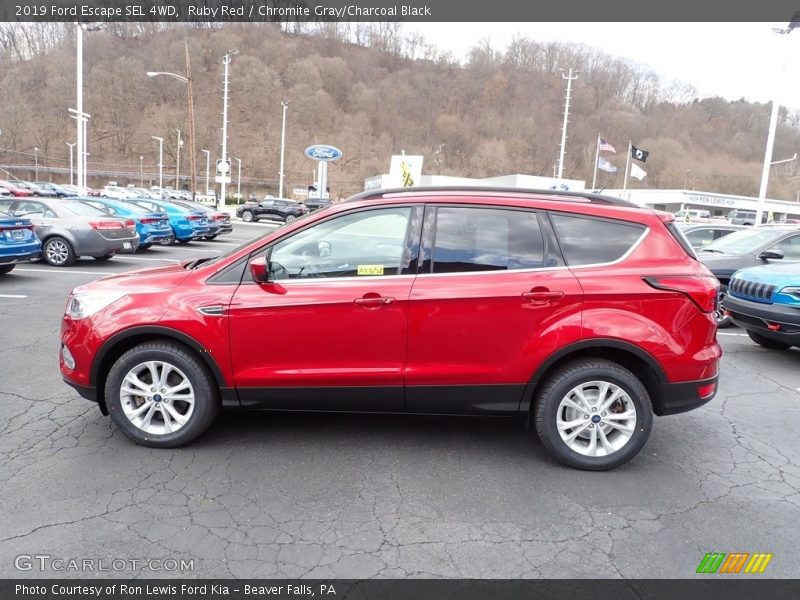 Ruby Red / Chromite Gray/Charcoal Black 2019 Ford Escape SEL 4WD