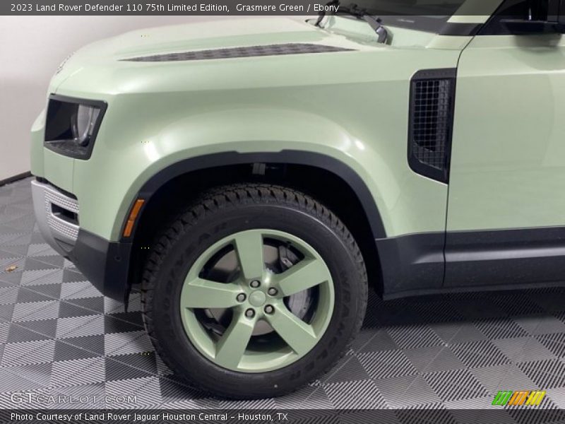 Grasmere Green / Ebony 2023 Land Rover Defender 110 75th Limited Edition