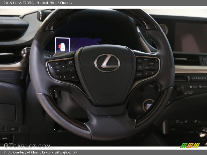 Nightfall Mica / Chateau 2019 Lexus ES 350