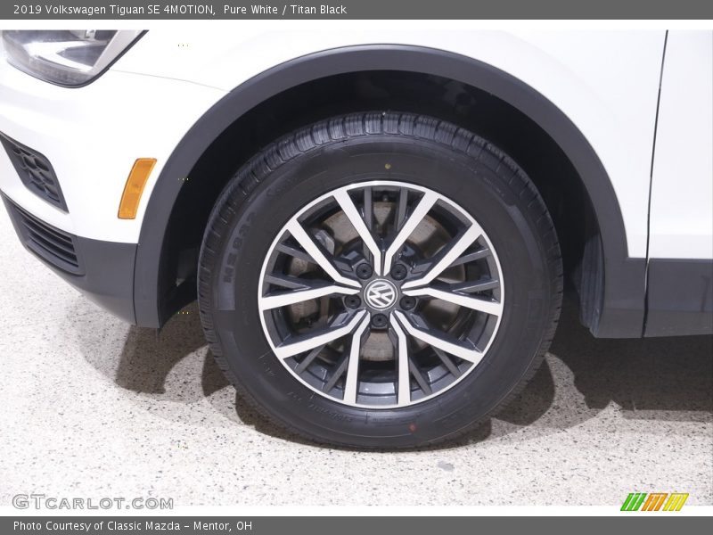 Pure White / Titan Black 2019 Volkswagen Tiguan SE 4MOTION