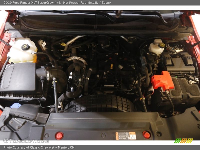 Hot Pepper Red Metallic / Ebony 2019 Ford Ranger XLT SuperCrew 4x4