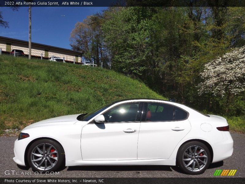 Alfa White / Black 2022 Alfa Romeo Giulia Sprint