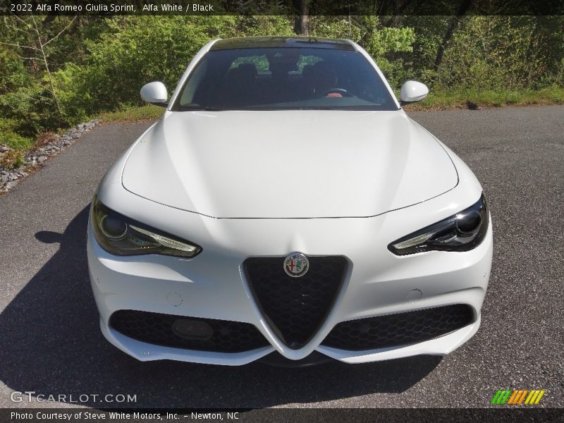 Alfa White / Black 2022 Alfa Romeo Giulia Sprint