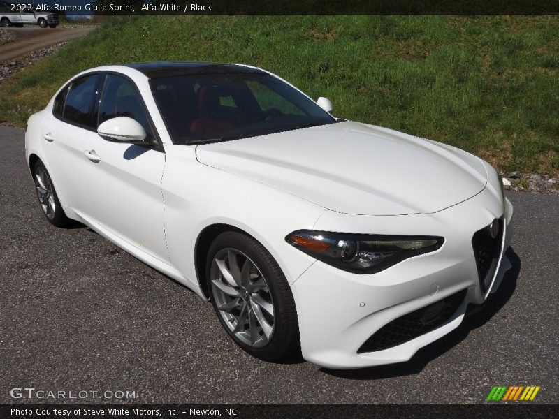 Alfa White / Black 2022 Alfa Romeo Giulia Sprint