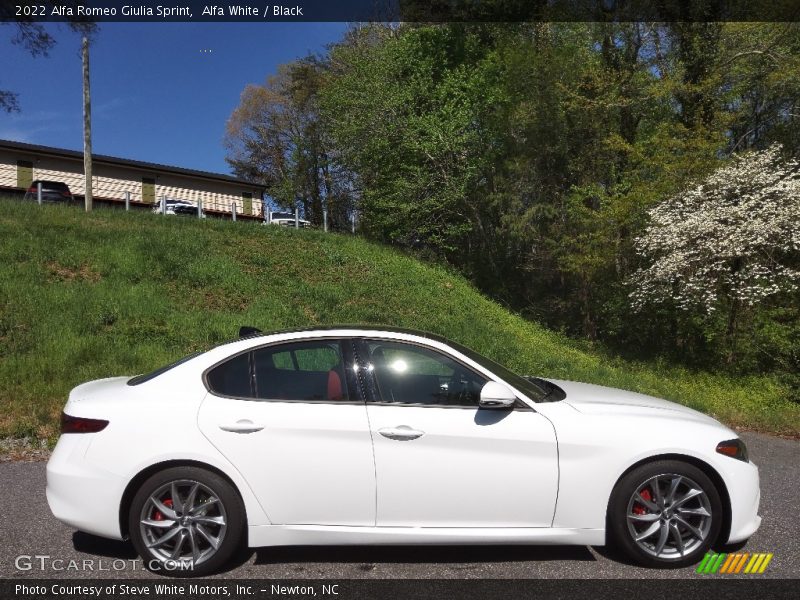 Alfa White / Black 2022 Alfa Romeo Giulia Sprint