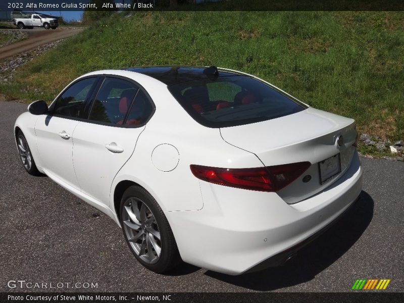 Alfa White / Black 2022 Alfa Romeo Giulia Sprint