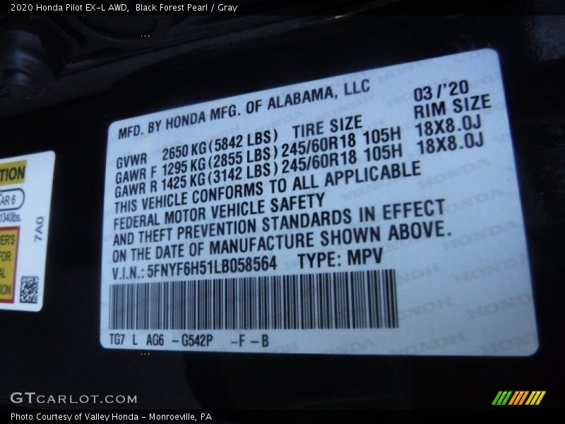 Black Forest Pearl / Gray 2020 Honda Pilot EX-L AWD