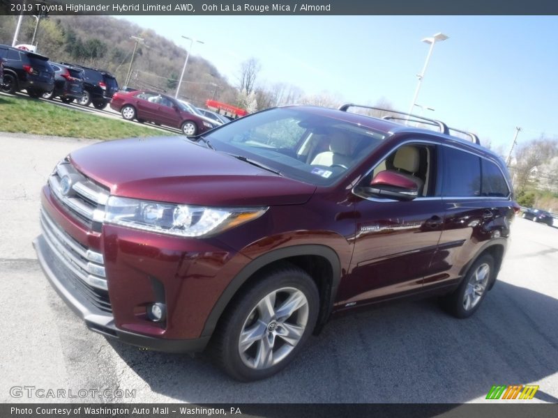 Front 3/4 View of 2019 Highlander Hybrid Limited AWD
