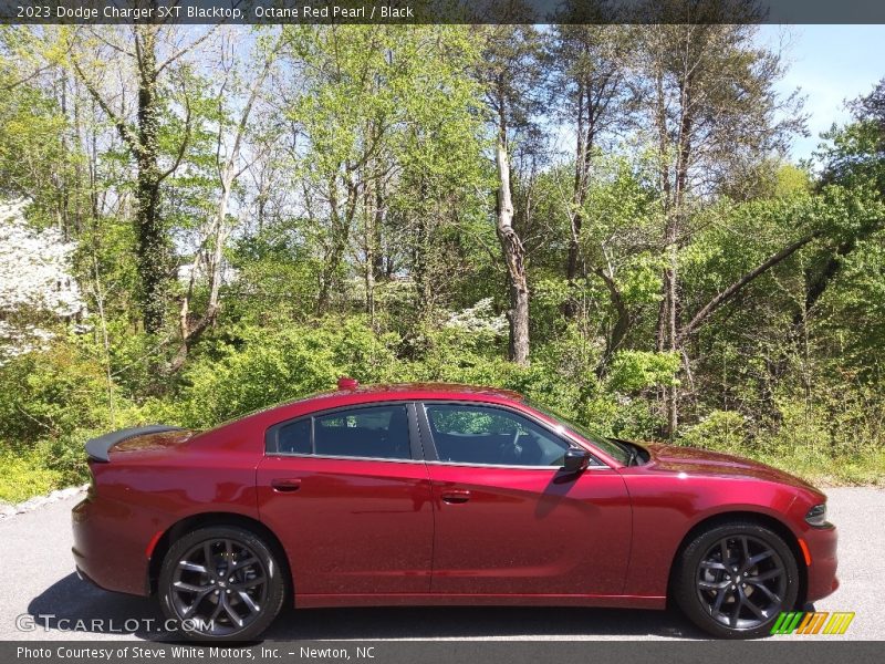 Octane Red Pearl / Black 2023 Dodge Charger SXT Blacktop