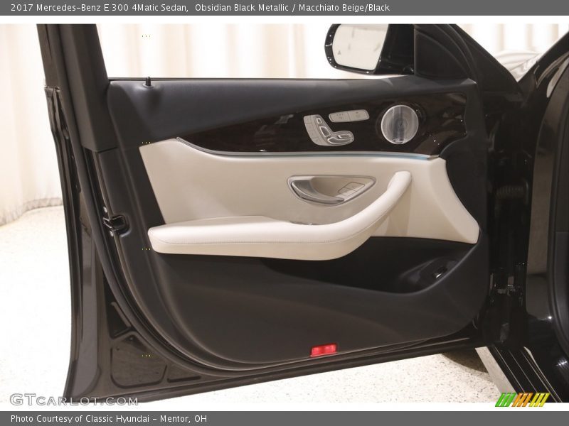 Door Panel of 2017 E 300 4Matic Sedan