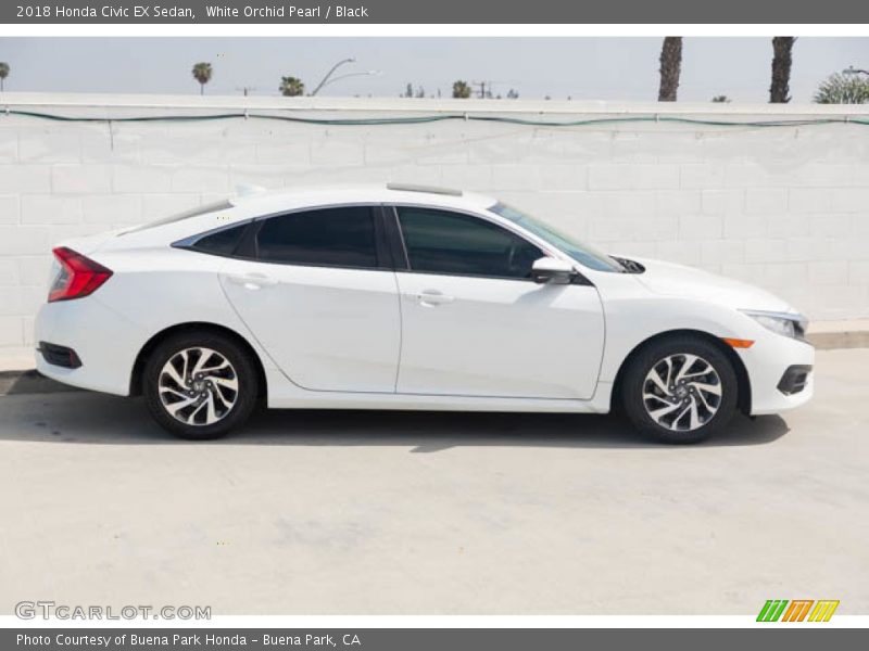 White Orchid Pearl / Black 2018 Honda Civic EX Sedan