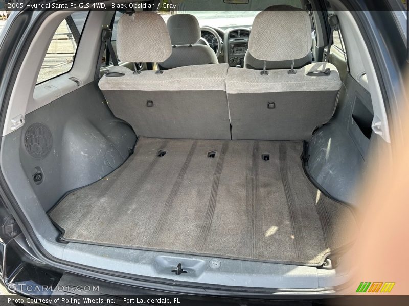 Black Obsidian / Gray 2005 Hyundai Santa Fe GLS 4WD