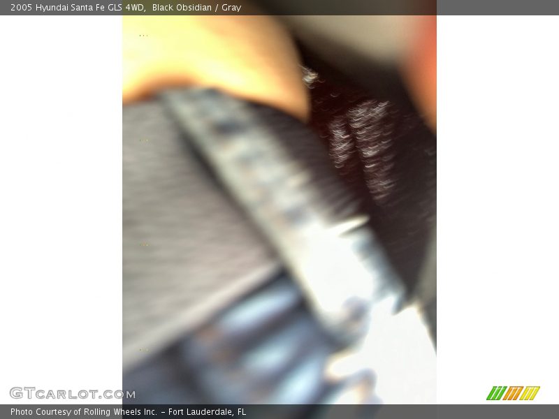 Black Obsidian / Gray 2005 Hyundai Santa Fe GLS 4WD