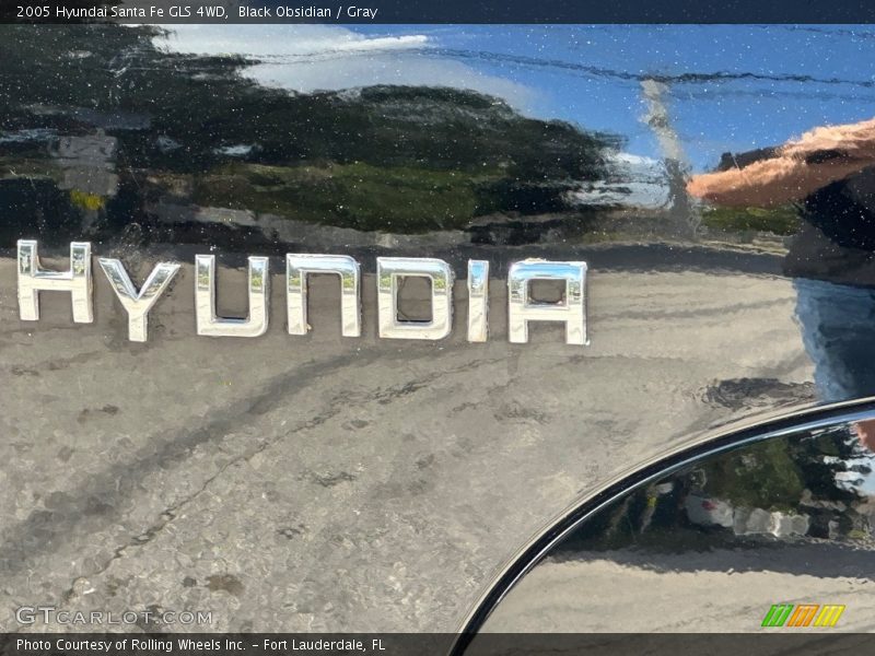 Black Obsidian / Gray 2005 Hyundai Santa Fe GLS 4WD