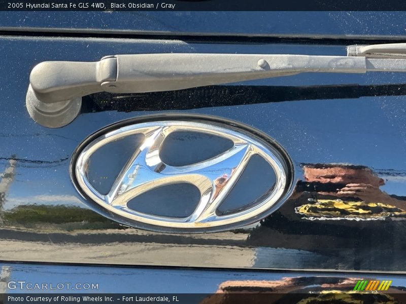 Black Obsidian / Gray 2005 Hyundai Santa Fe GLS 4WD