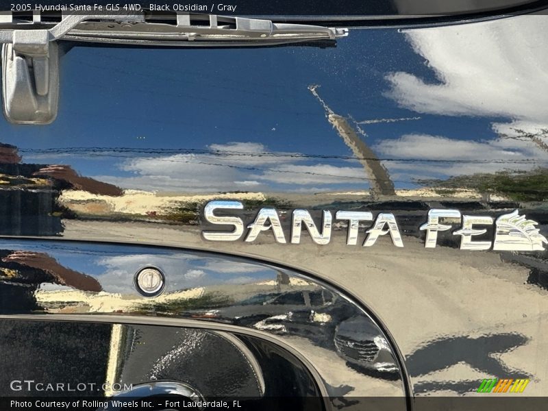 Black Obsidian / Gray 2005 Hyundai Santa Fe GLS 4WD