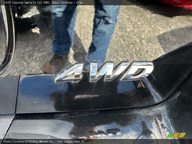 Black Obsidian / Gray 2005 Hyundai Santa Fe GLS 4WD