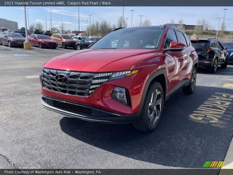 Calypso Red Pearl / Black 2023 Hyundai Tucson Limited AWD