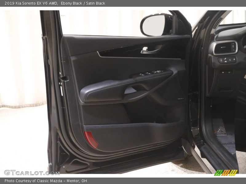 Door Panel of 2019 Sorento EX V6 AWD