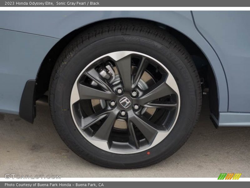  2023 Odyssey Elite Wheel