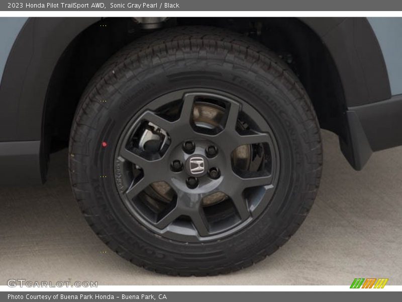 Sonic Gray Pearl / Black 2023 Honda Pilot TrailSport AWD