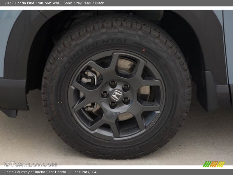 Sonic Gray Pearl / Black 2023 Honda Pilot TrailSport AWD