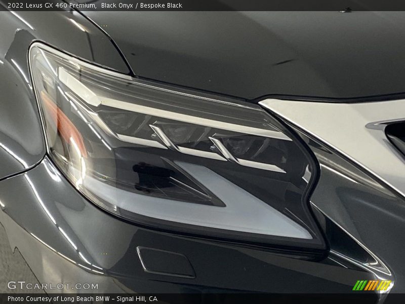 Black Onyx / Bespoke Black 2022 Lexus GX 460 Premium