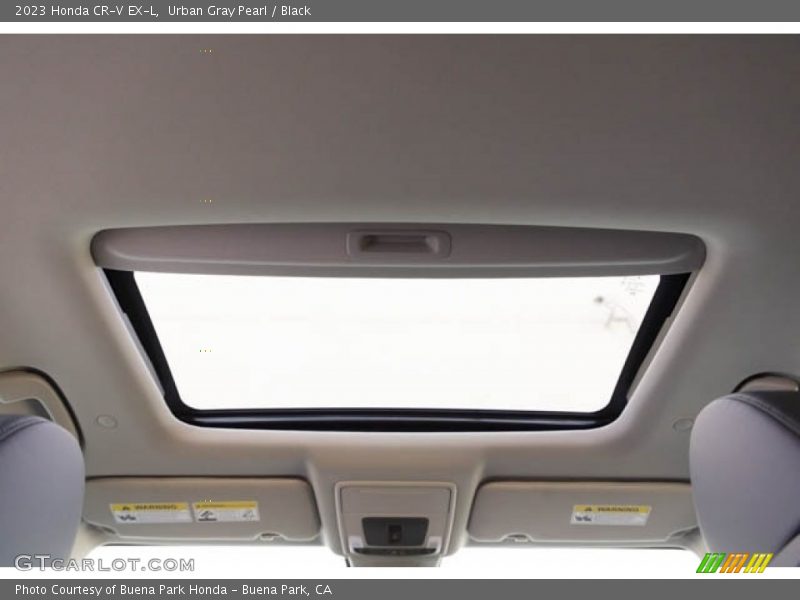 Urban Gray Pearl / Black 2023 Honda CR-V EX-L