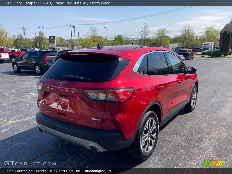 Rapid Red Metallic / Ebony Black 2020 Ford Escape SEL 4WD