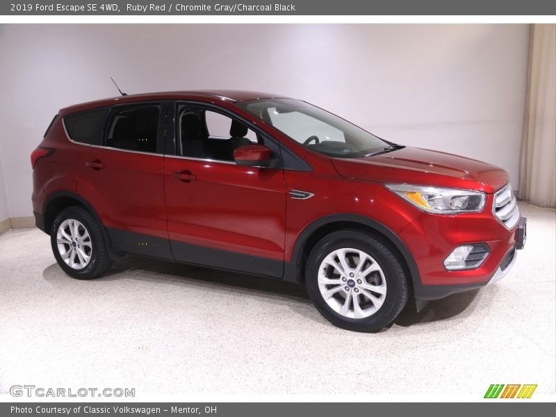 Ruby Red / Chromite Gray/Charcoal Black 2019 Ford Escape SE 4WD