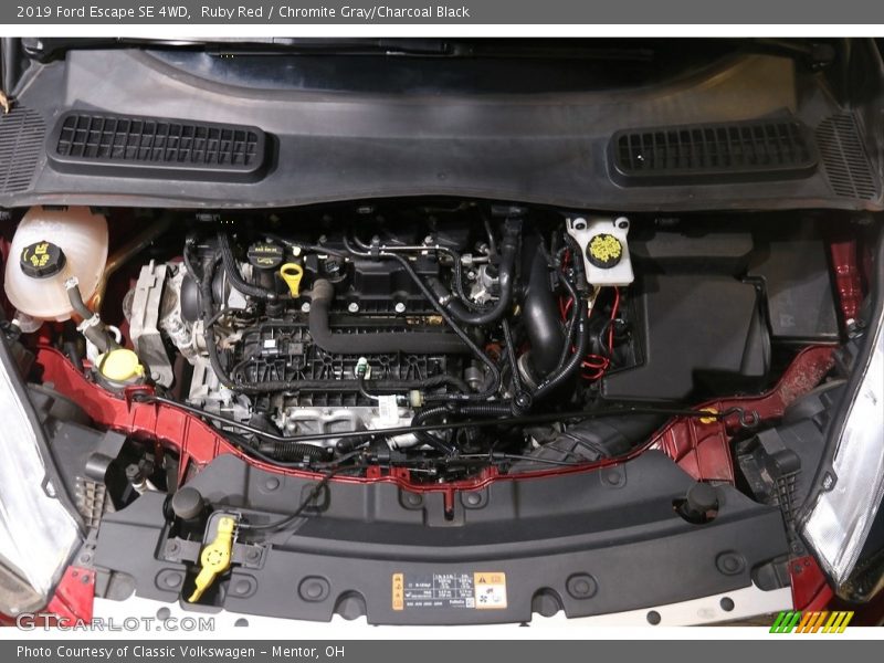 Ruby Red / Chromite Gray/Charcoal Black 2019 Ford Escape SE 4WD