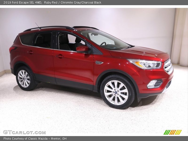 Ruby Red / Chromite Gray/Charcoal Black 2019 Ford Escape SEL 4WD