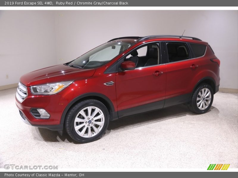 Ruby Red / Chromite Gray/Charcoal Black 2019 Ford Escape SEL 4WD